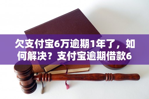 欠支付宝6万逾期1年了，如何解决？支付宝逾期借款6万，如何催收？