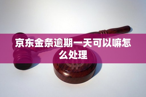 京东金条逾期一天可以嘛怎么处理