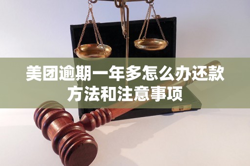 美团逾期一年多怎么办还款方法和注意事项