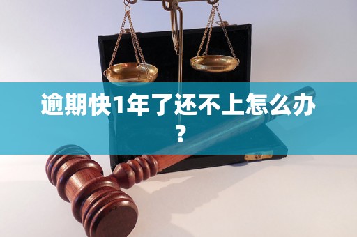 逾期快1年了还不上怎么办？