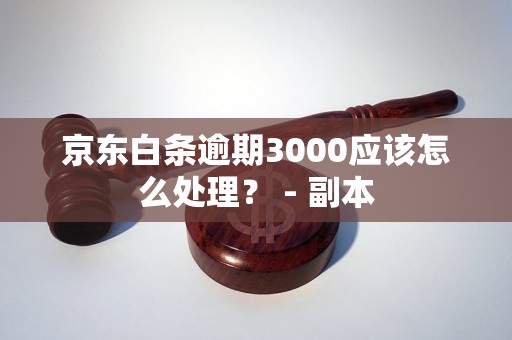 京东白条逾期3000应该怎么处理？ - 副本