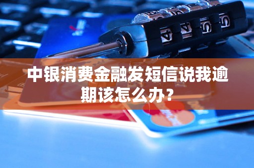 中银消费金融发短信说我逾期该怎么办？