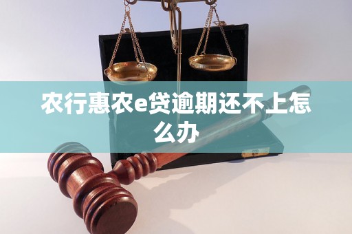 农行惠农e贷逾期还不上怎么办