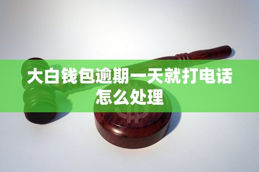 大白钱包逾期一天就打电话怎么处理