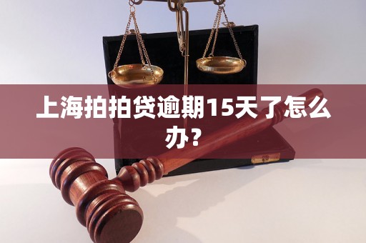 上海拍拍贷逾期15天了怎么办？