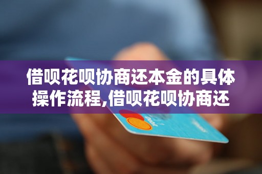 借呗花呗协商还本金的具体操作流程,借呗花呗协商还本金的详细步骤