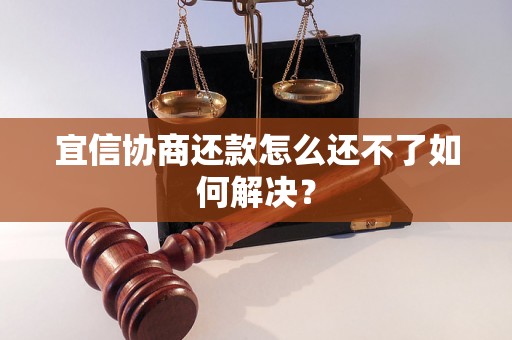 宜信协商还款怎么还不了如何解决？