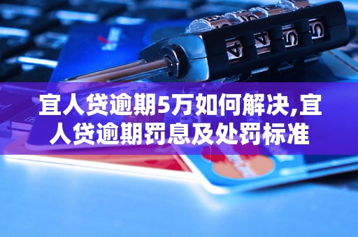 宜人贷逾期5万如何解决,宜人贷逾期罚息及处罚标准