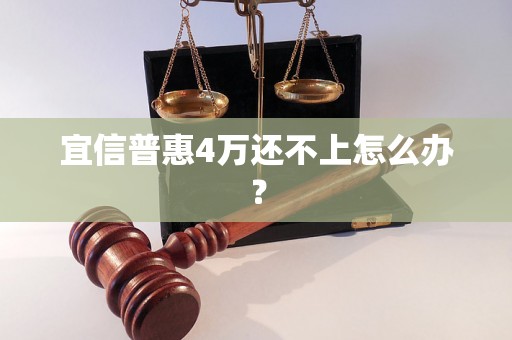 宜信普惠4万还不上怎么办？