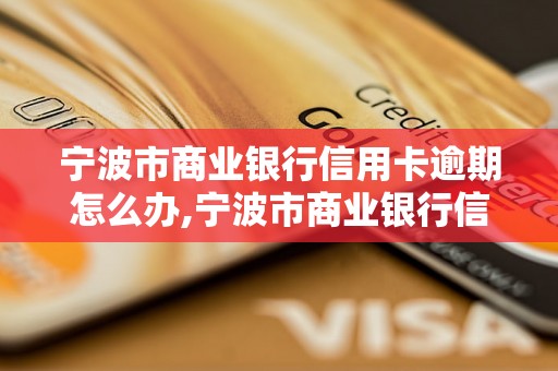 宁波市商业银行信用卡逾期怎么办,宁波市商业银行信用卡逾期罚款标准