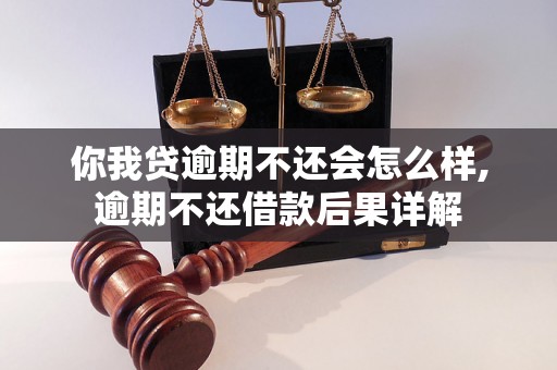 你我贷逾期不还会怎么样,逾期不还借款后果详解