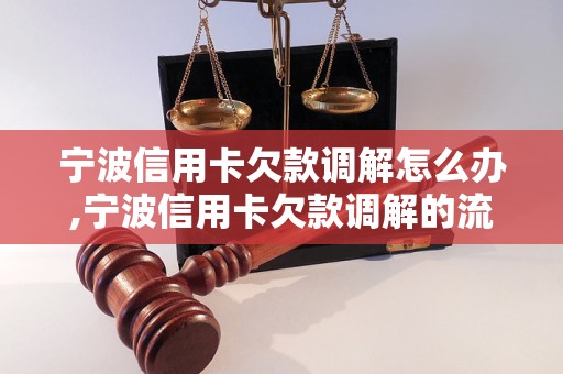 宁波信用卡欠款调解怎么办,宁波信用卡欠款调解的流程