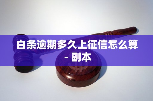 白条逾期多久上征信怎么算 - 副本