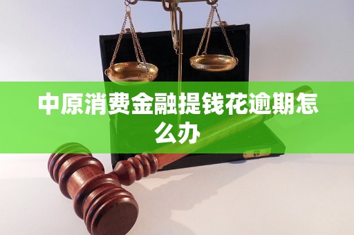 中原消费金融提钱花逾期怎么办