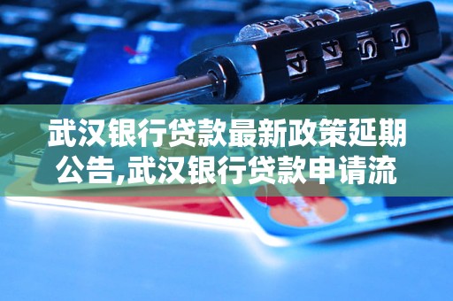 武汉银行贷款最新政策延期公告,武汉银行贷款申请流程及延期办理指南