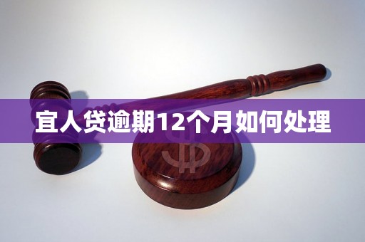 宜人贷逾期12个月如何处理