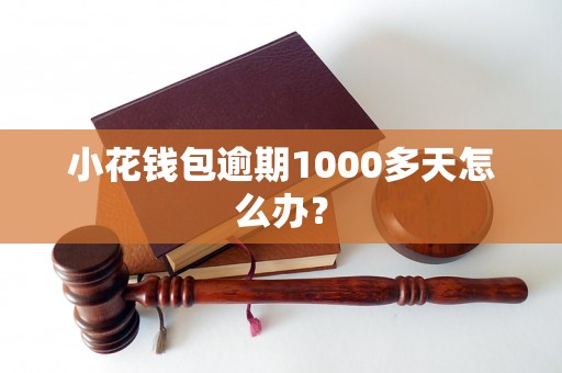 小花钱包逾期1000多天怎么办？