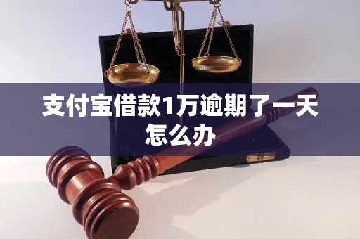 支付宝借款1万逾期了一天怎么办