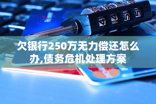 欠银行250万无力偿还怎么办,债务危机处理方案