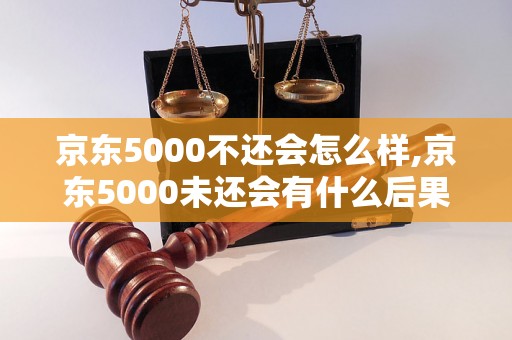 京东5000不还会怎么样,京东5000未还会有什么后果