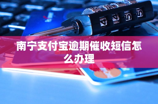 南宁支付宝逾期催收短信怎么办理