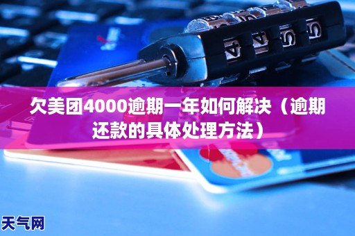 GA黄金甲欠美团4000逾期一年如何解决(逾期还款的具体处理 )(图1) GA黄金甲欠美团4000逾期一年如何解决(逾期还款的具体处理 )(图1)