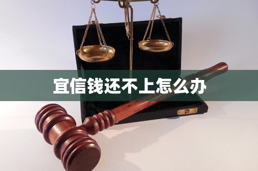 宜信钱还不上怎么办