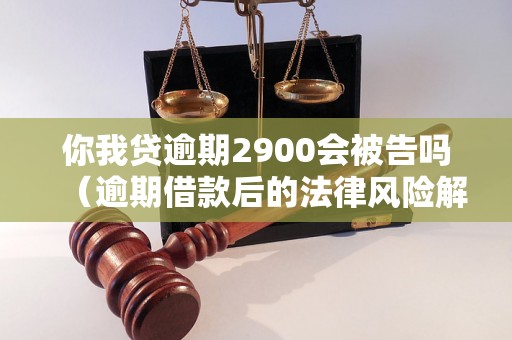 你我贷逾期2900会被告吗（逾期借款后的法律风险解析）