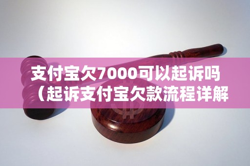 支付宝欠7000可以起诉吗（起诉支付宝欠款流程详解）