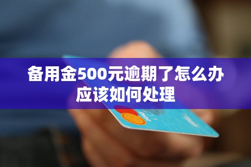 备用金500元逾期了怎么办应该如何处理