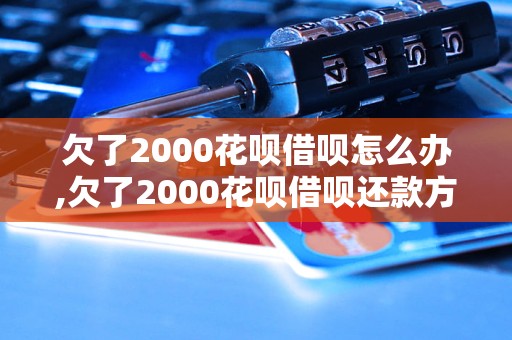 欠了2000花呗借呗怎么办,欠了2000花呗借呗还款方式