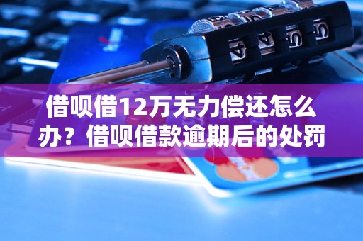 借呗借12万无力偿还怎么办？借呗借款逾期后的处罚措施有哪些？