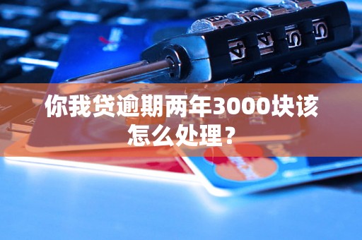 你我贷逾期两年3000块该怎么处理？