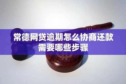 常德网贷逾期怎么协商还款需要哪些步骤