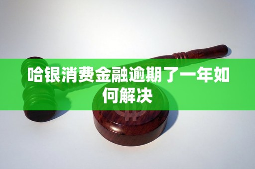 哈银消费金融逾期了一年如何解决