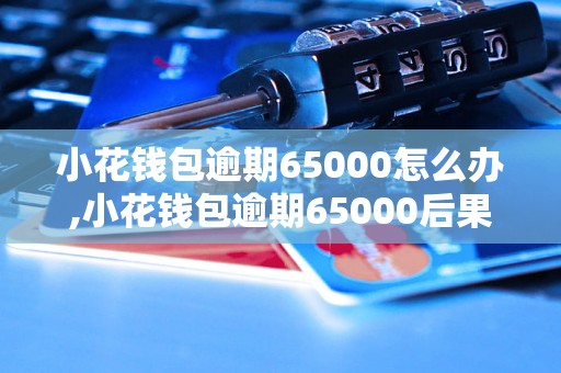 小花钱包逾期65000怎么办,小花钱包逾期65000后果及处理方法