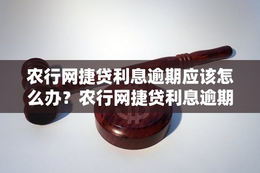 农行网捷贷利息逾期应该怎么办？农行网捷贷利息逾期后的处理方法