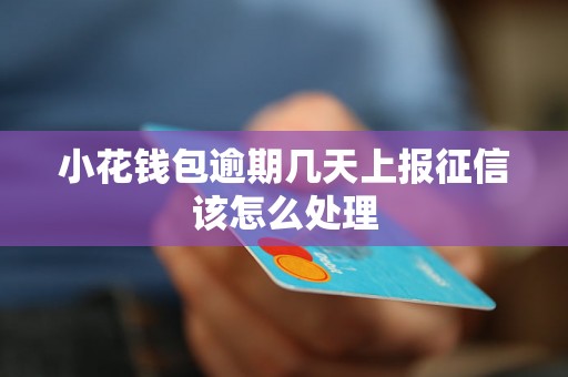 小花钱包逾期几天上报征信该怎么处理