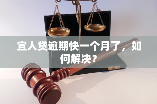 宜人贷逾期快一个月了，如何解决？