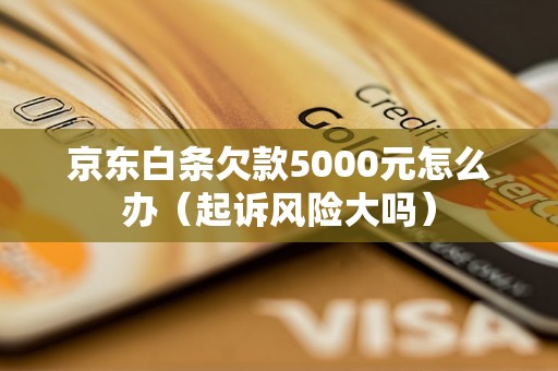 京东白条欠款5000元怎么办（起诉风险大吗）