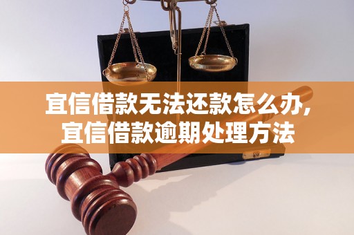 宜信借款无法还款怎么办,宜信借款逾期处理方法