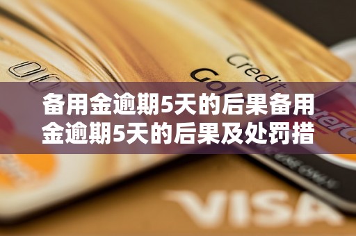 备用金逾期5天的后果备用金逾期5天的后果及处罚措施