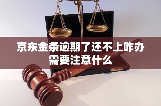 京东金条逾期了还不上咋办需要注意什么