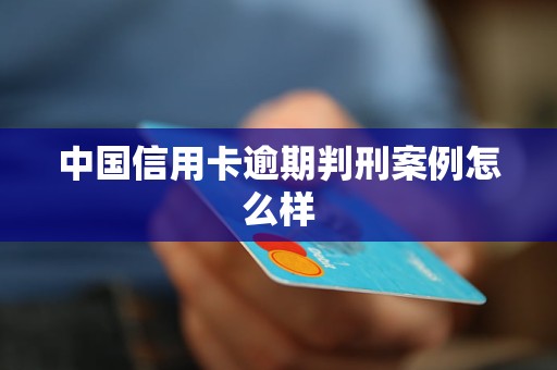 中国信用卡逾期判刑案例怎么样