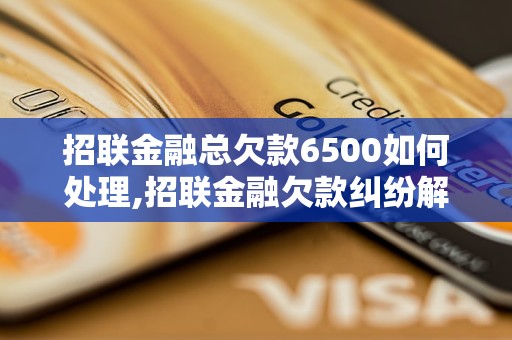 招联金融总欠款6500如何处理,招联金融欠款纠纷解决方法