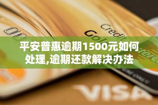 平安普惠逾期1500元如何处理,逾期还款解决办法