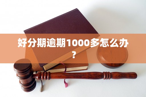 好分期逾期1000多怎么办？