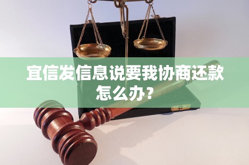 宜信发信息说要我协商还款怎么办？