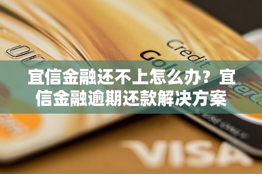 宜信金融还不上怎么办？宜信金融逾期还款解决方案