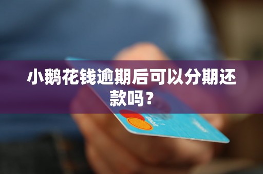 小鹅花钱逾期后可以分期还款吗？